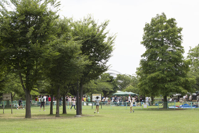 辰巳の森海浜公園全体