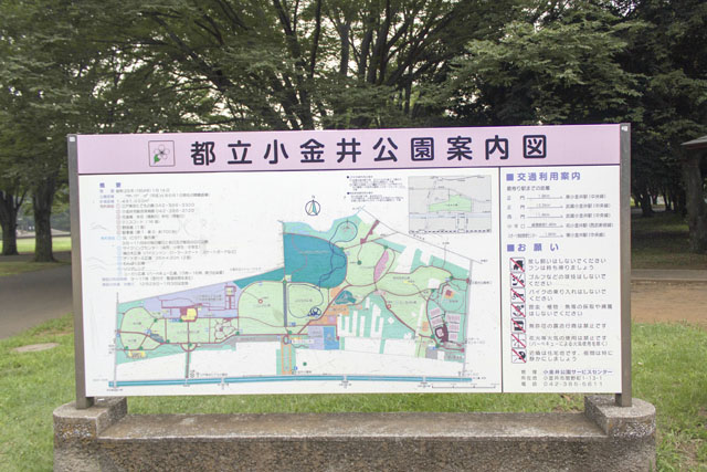 小金井公園案内図