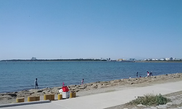 葛西海浜公園(西なぎさ)の雰囲気