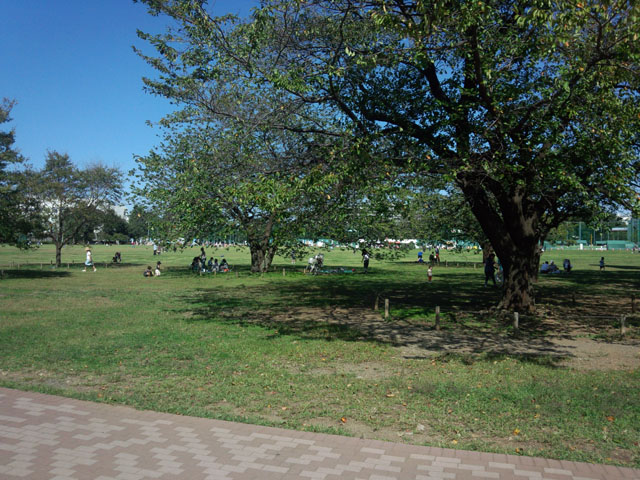 武蔵野中央公園の広場