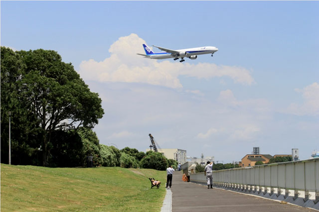 京浜島つばさ公園からみた飛行機